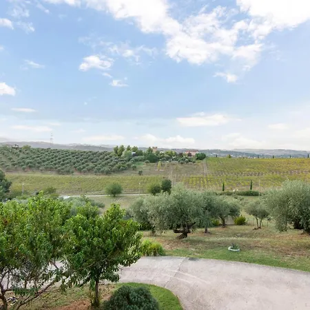 公寓 Pet Friendly In *