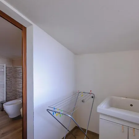 Pet Friendly In Apartment