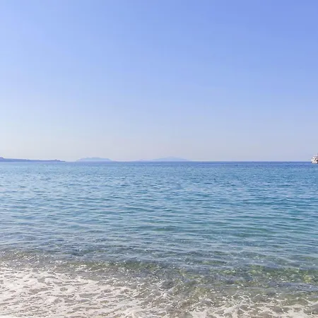 Pet Friendly In Moscufo