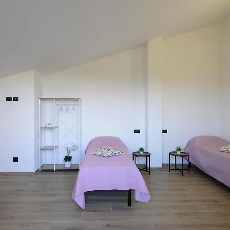Pet Friendly In Apartment *