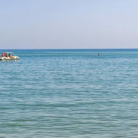 公寓 Pet Friendly In *