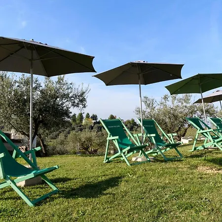 Pet Friendly In 公寓