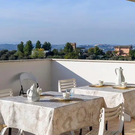 Pet Friendly In 公寓 *