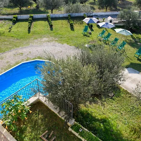 Apartment Pet Friendly In *