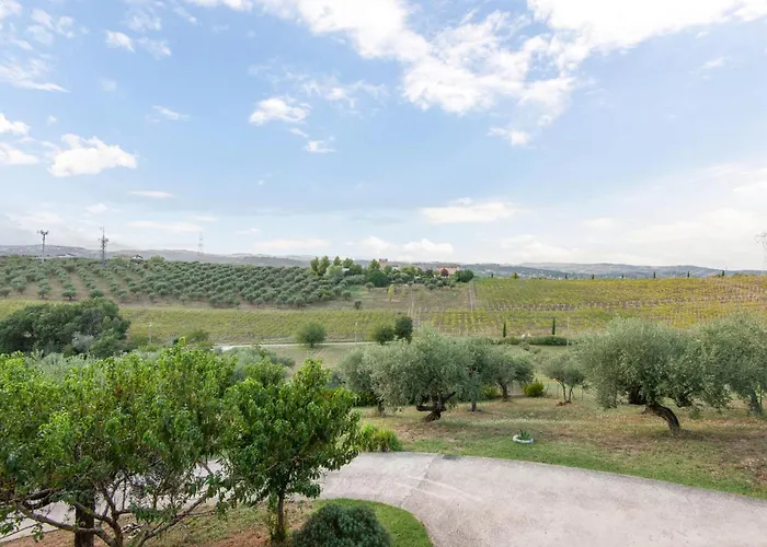 Διαμέρισμα Pet Friendly In *